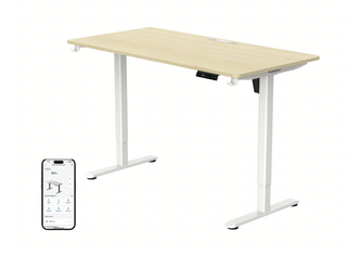AI-Powered Electric Standing Desk